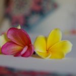 Comment se déroule un massage ?